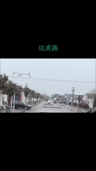 这虎揍