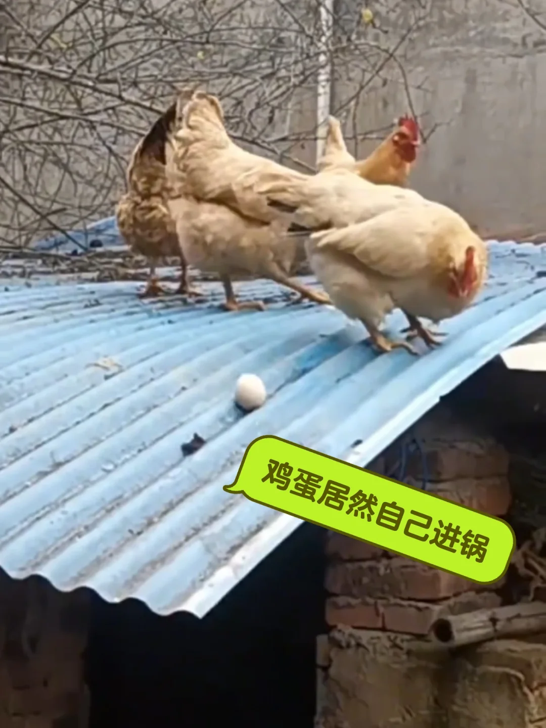 意想不到的巧合瞬间