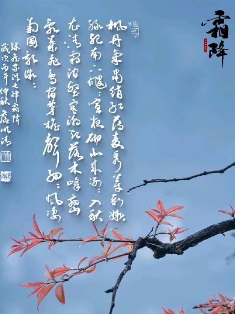 七律•霜降文/詹家洪    书法/#詹顺清# 枫丹气肃绡红薄，麦秀芽新嫩绿肥。南下飕飕喧夜砌，北来冽