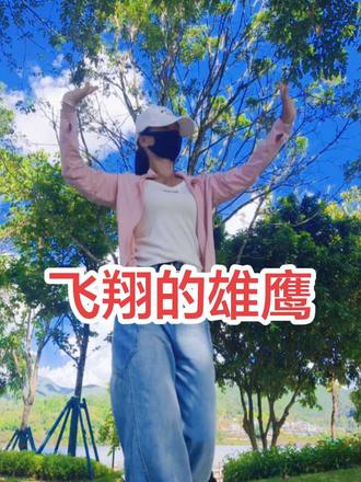 飞翔的雄鹰