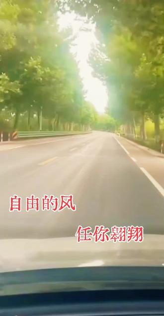 自由的风 任你翱翔