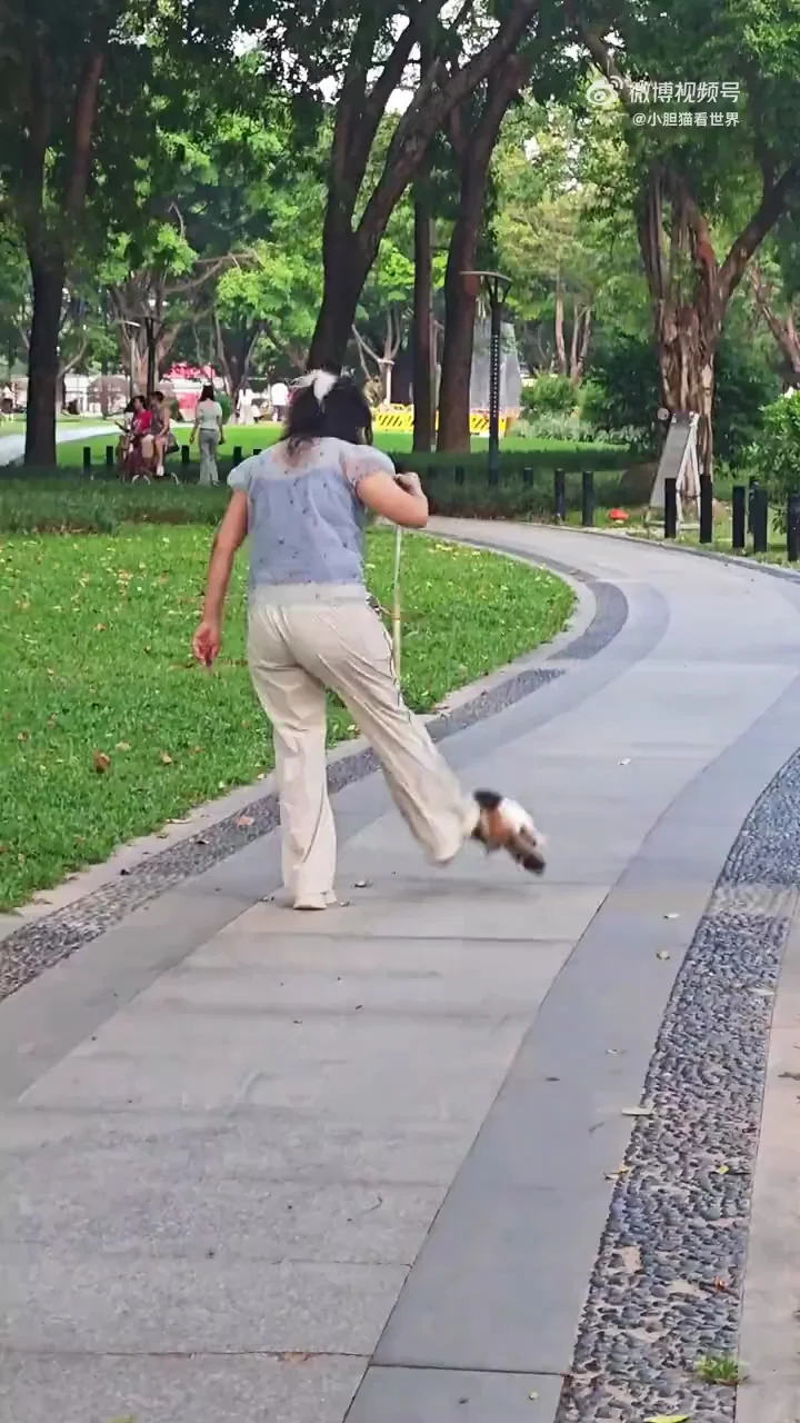除了心疼，就是深深的气愤！！！