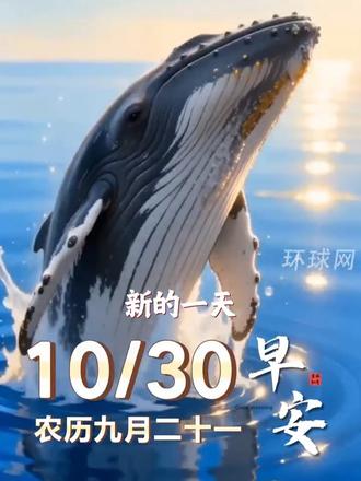 新的一天，愿你敢闯敢拼，顺流不骄，逆流不馁，踏浪而行，乘势而上，加油！
