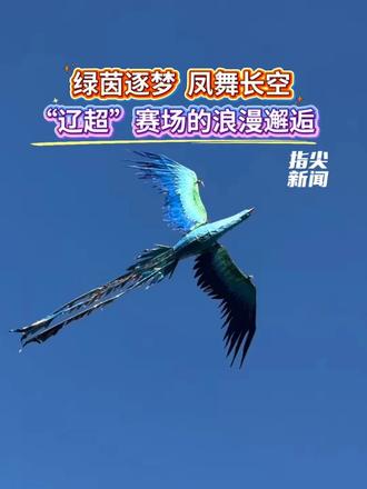 #媒体原创 绿茵逐梦凤舞长空，“辽超”赛场的浪漫邂逅。（记者 李庆实 常晟罡 王江 责编 王作）