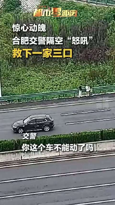 惊险！再次提醒高速遇事故：车靠边、人撤离、即报警！@合肥警方 #哈尔滨 编辑:孟令琳 李佳 制片:刘