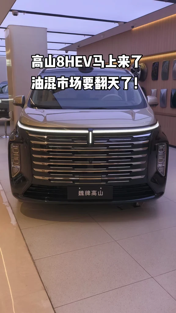 来喽来喽！2.0T油混MPV独此一家，还带智驾，谁还买那些老咕噜棒子车！ #魏牌高山  #高山8  