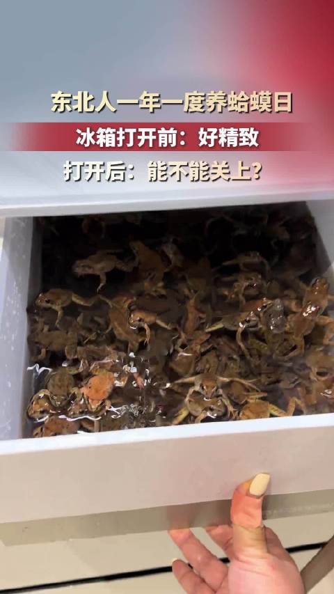#女子在冰箱养蛙现吃现捞#【辽宁一女子冰箱冷藏室水养一屉活蛙，"想吃几个捞几个"引热议】