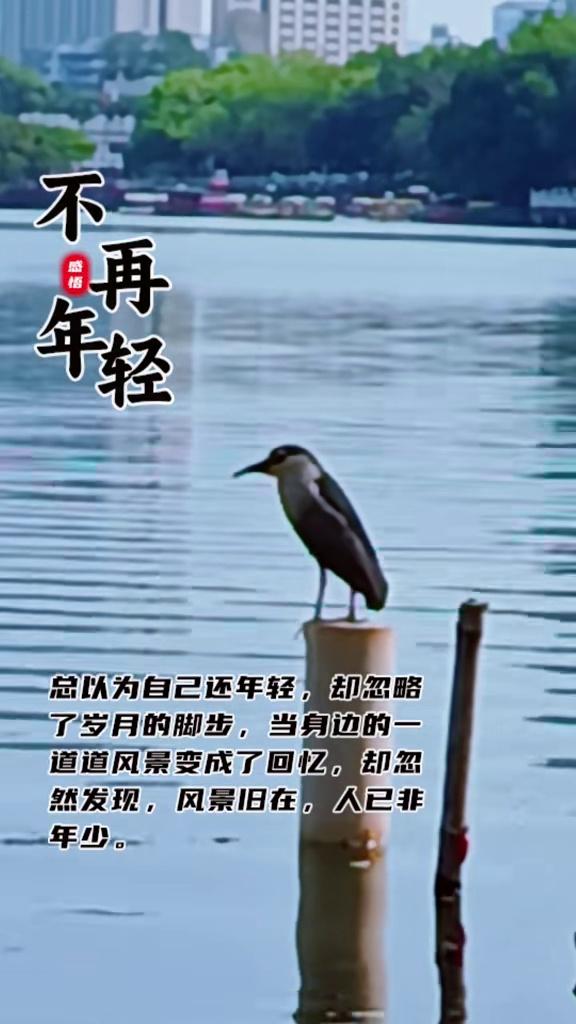 小时候的橡皮是别人给你的机会，不是你犯错的理由，小时候犯了错可以改，长大了犯错就得自己扛。