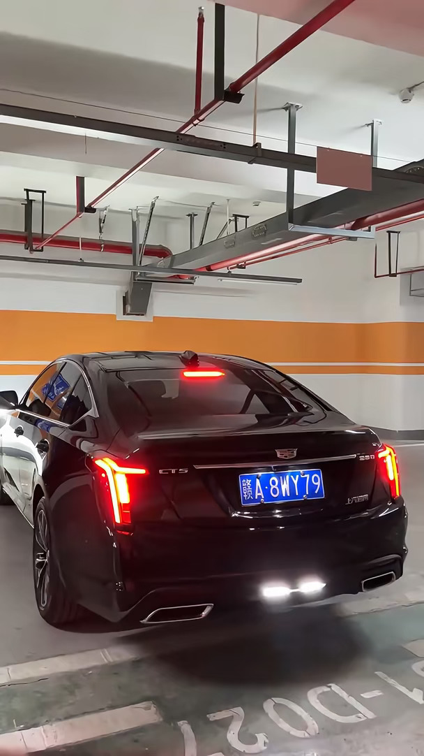 想看看你们的车屁股