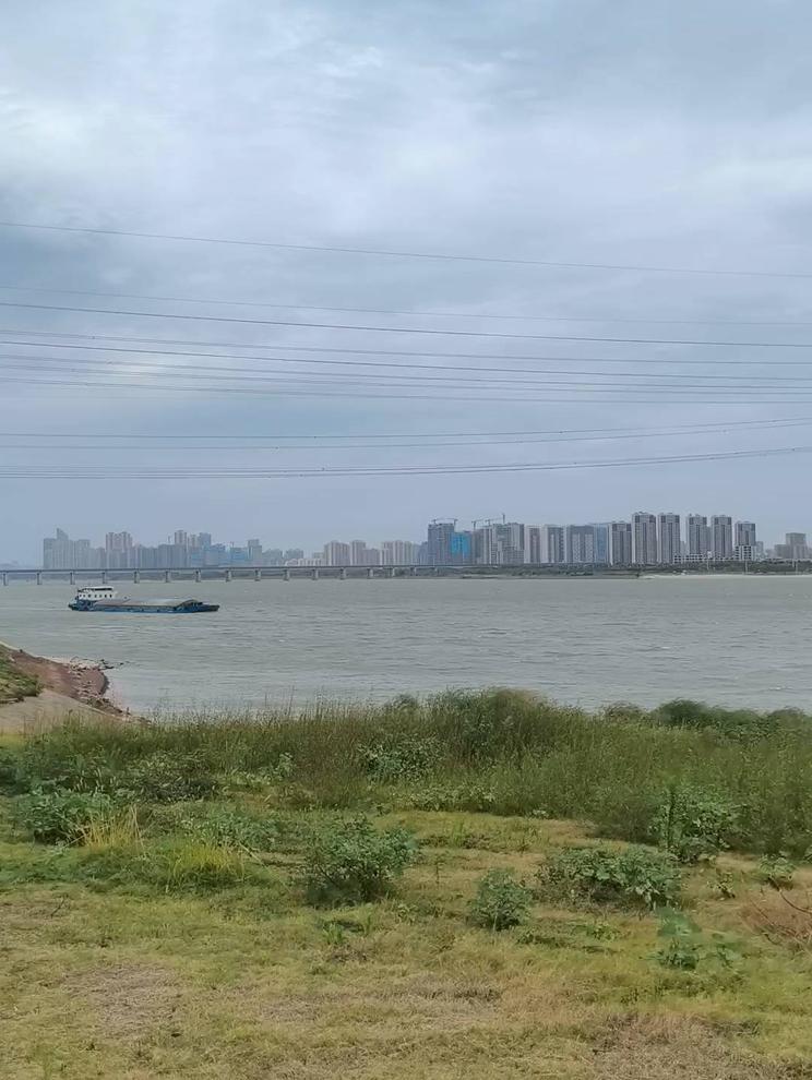 江边漫步，感受城市的宁静与美好