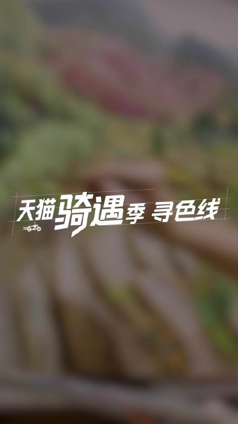 热爱骑车，也热爱把日子过出点颜色