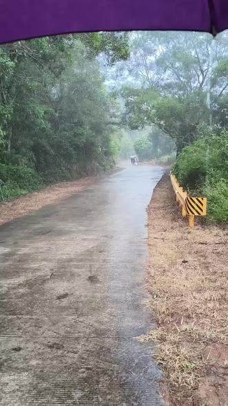 下雨天乡村真实风景