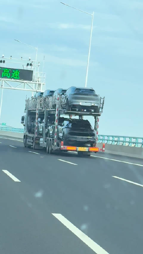 一大早当一回押运员，这不，又一批极氪 7X 驶向港口，驶向全世界！ #极氪##极氪[超话]##全球的