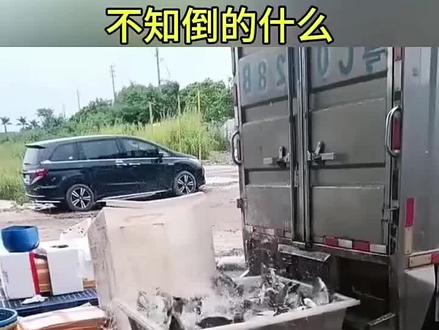 不知倒了什么，鱼群瞬间沸腾了