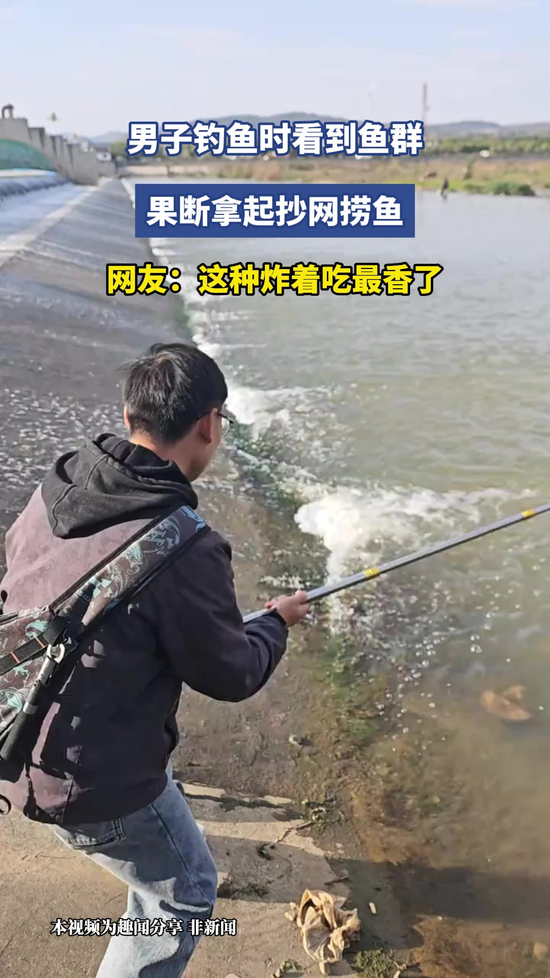 男子钓鱼时看到鱼群，果断拿起抄网捞鱼，网友：这种炸着吃最香了