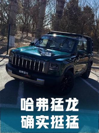 10多万的价格真没啥毛病