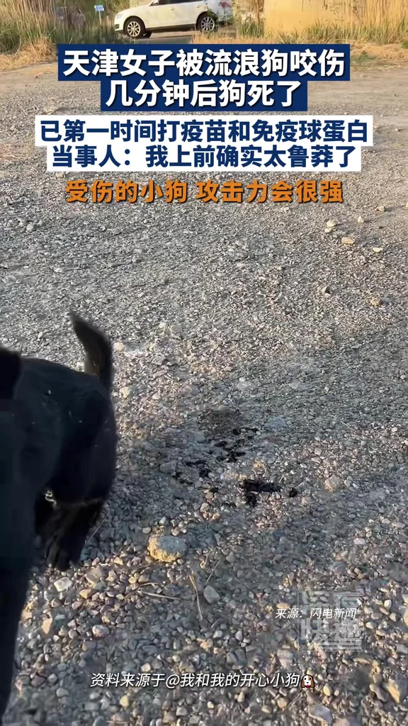 天津女子被流浪狗咬伤，几分钟后狗死了！