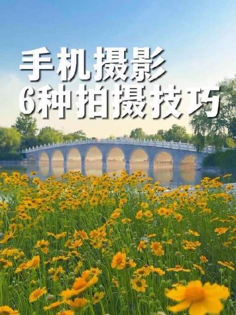 漫步公园，如何用手机镜头捕捉电影级画面