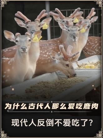 为什么古代人那么爱吃鹿肉，现代人反倒不爱吃了？