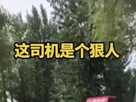 这司机是个狠人啊