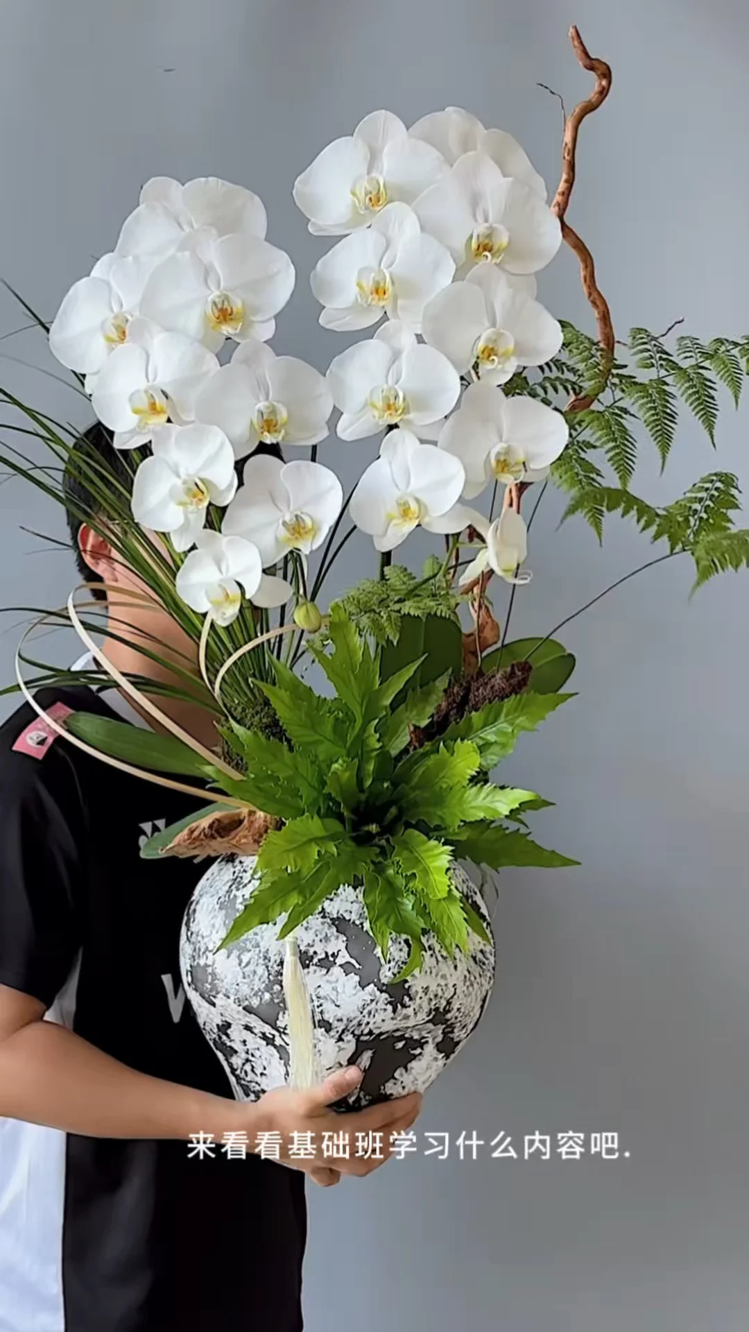 清雅白兰 | 蝴蝶兰培训课程基础班演示作品