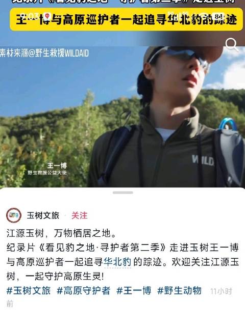 玉树文旅也在为王一博纪录片《看见豹之地·寻护者第二季》打call #王一博被cue找传国玉玺#