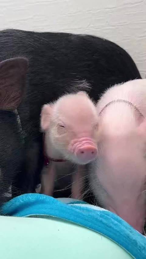 上班嘛，哪有不困的