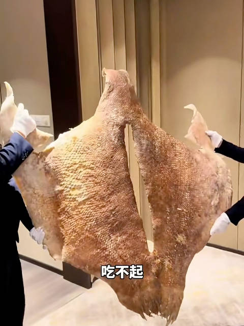 这些昂贵的高端食材你吃过吗  ​​​