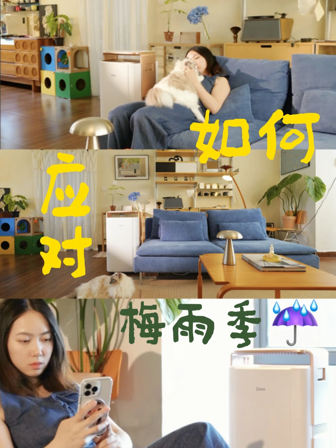170平中古树景小家夏日如何应对梅雨季☔