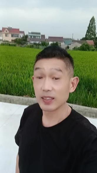 做饭出来走走，欣赏江南的风景美如画