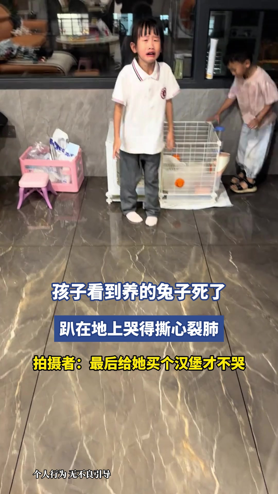 孩子看到养的兔子死了，趴在地上哭得撕心裂肺，拍摄者：最后给她买个汉堡才不哭
