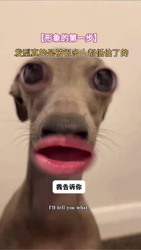 #直观的感受到了发型的重要#很多人在打扮自己的时候都忘了发型的重要性
