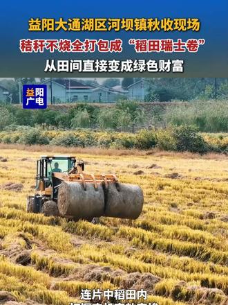 益阳大通湖区河坝镇秋收现场，秸秆不烧全打包成“稻田瑞士卷”，从田间直接变成绿色财富。#益阳 #大通湖