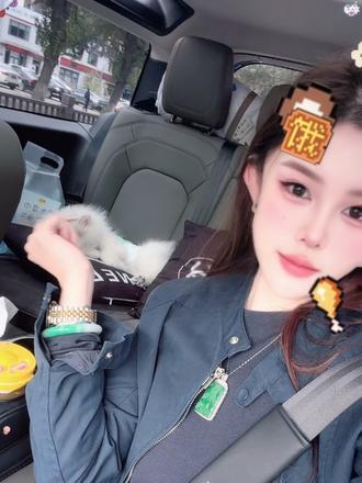我的护卫犬