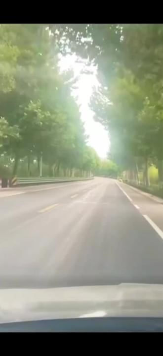 老歌越听越上头……