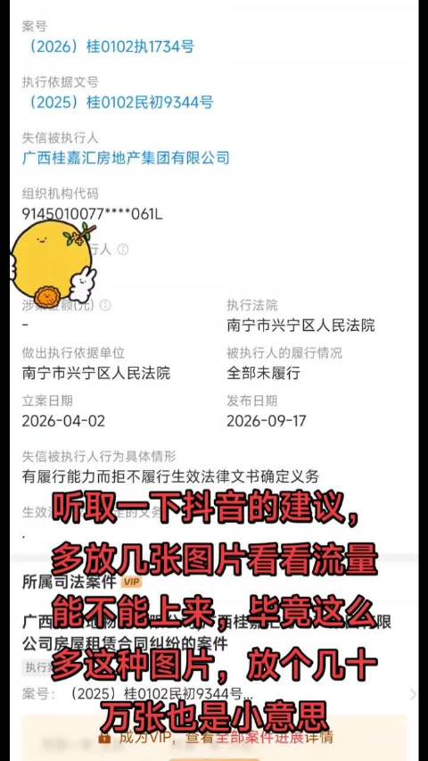 #老赖你别跑##海南##四川##内江##三亚#