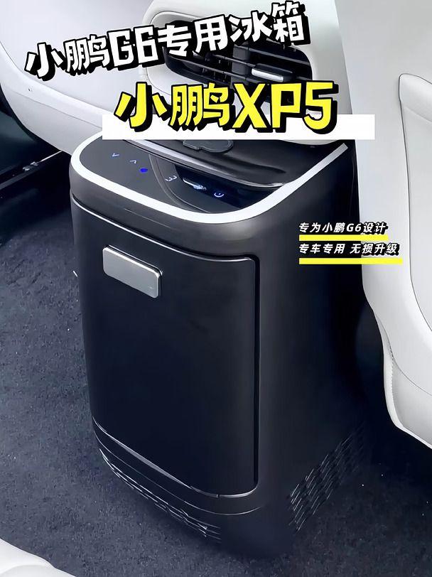 小鹏G6车用冰箱