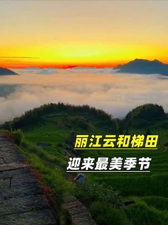金秋时节，丽江云河梯田迎来一年之中的最佳观赏期。