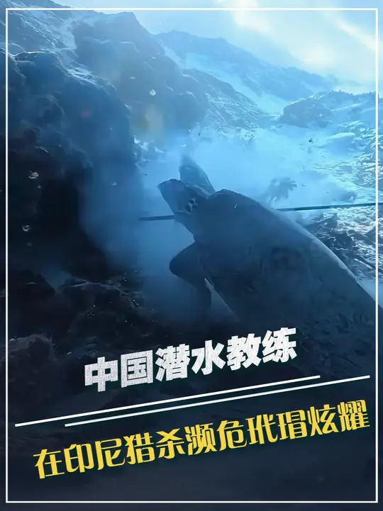 中国潜水教练，在印尼猎杀濒危玳瑁炫耀，不到48小时被全球追责