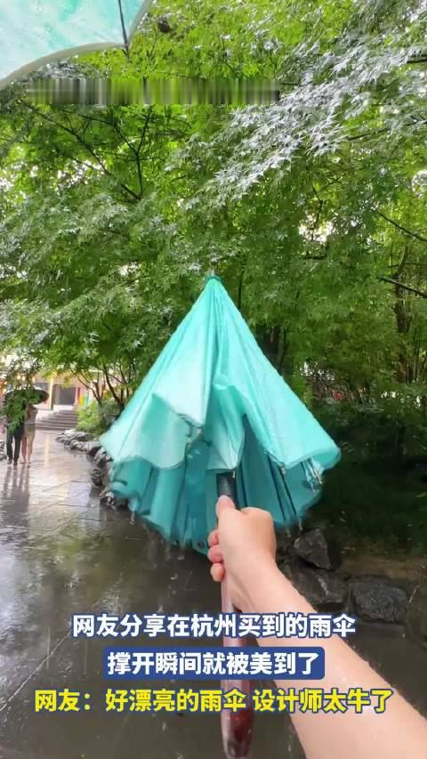 网友分享在杭州买到的雨伞，撑开瞬间就被美到了