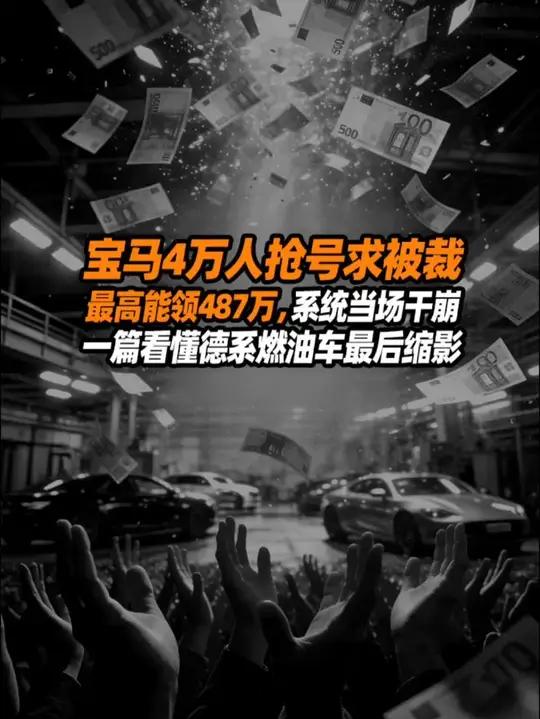 宝马4万人抢号求被裁，最高能领487万，系统当场干崩