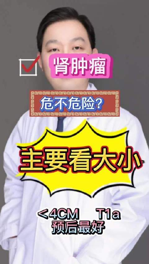 肾肿瘤确诊后，病情严重程度如何判断？风险等级怎样科学评估