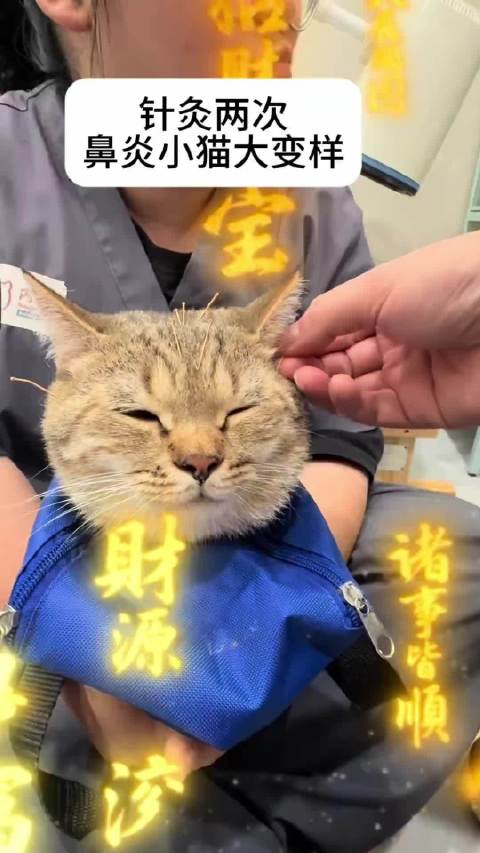 第一次：庸医！庸医！别碰我！第二次：神医！神医