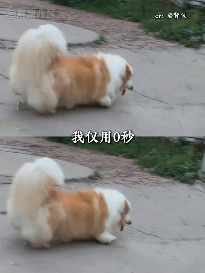 好心人每天的心理状态：不要有人找不要有人找
