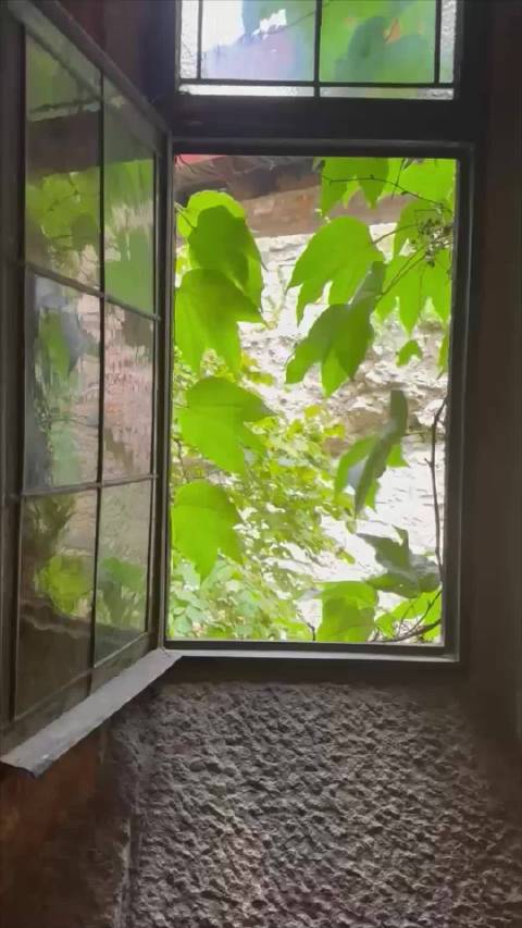 宁静致远，沉浸在和谐中才是生活美学