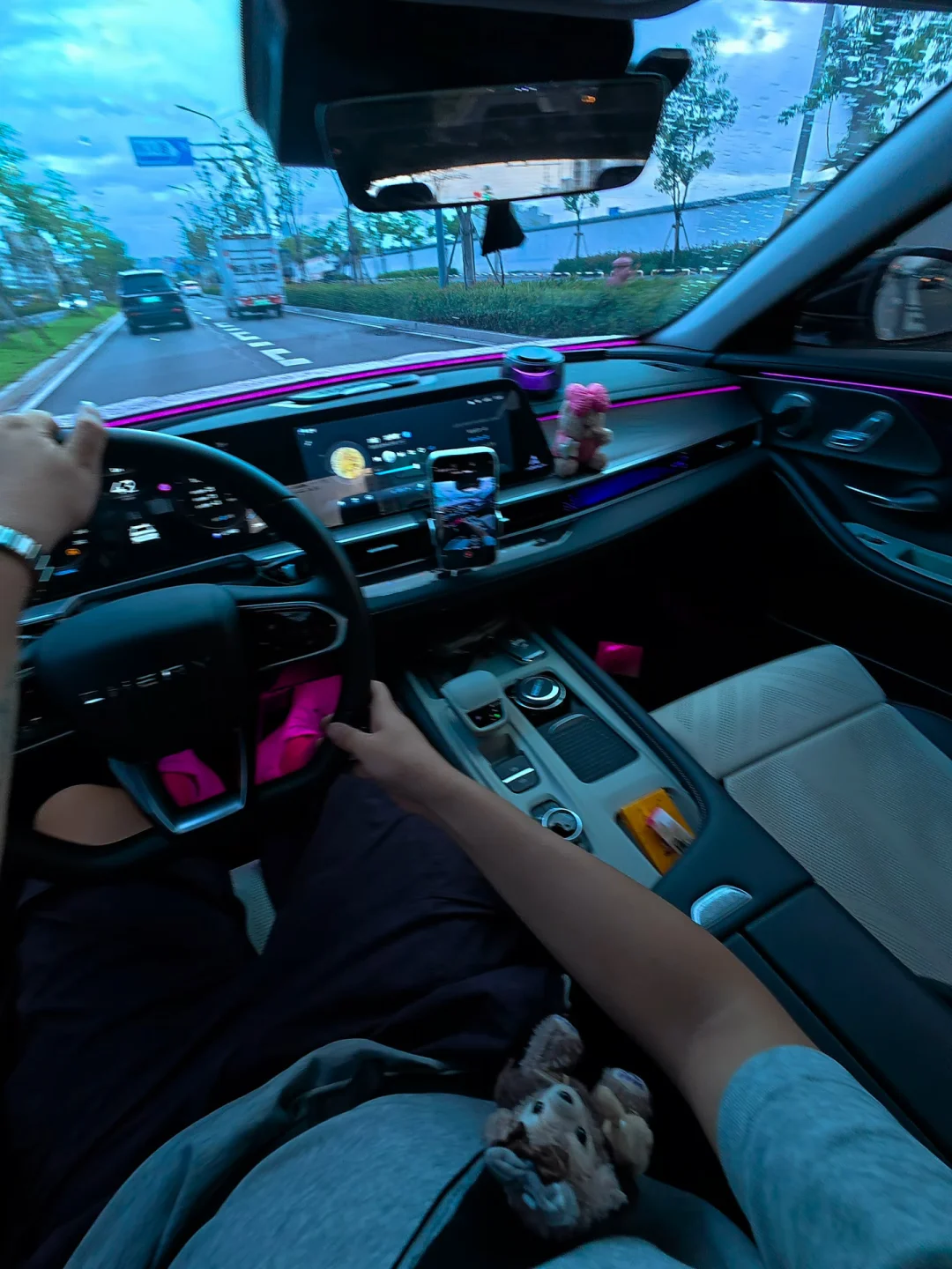 喜欢的人和喜欢的车 你总得有一个吧＃艾瑞泽8#第一视角驾驶#雨天#车内氛围感