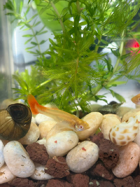 #尽量远离死味很重的人#有些人身上那种"死味"，更像是一种根深蒂固的负能量——那种常年诉苦、抱怨、自