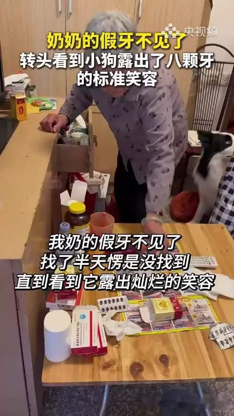 #德子的窝[超话]#  4.#奶奶假牙不见小狗露八颗牙#都说狗嘴吐不出象牙，但是狗嘴可以吐出假牙哈哈