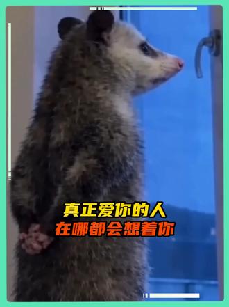 爱你的人不管在哪都会想着你