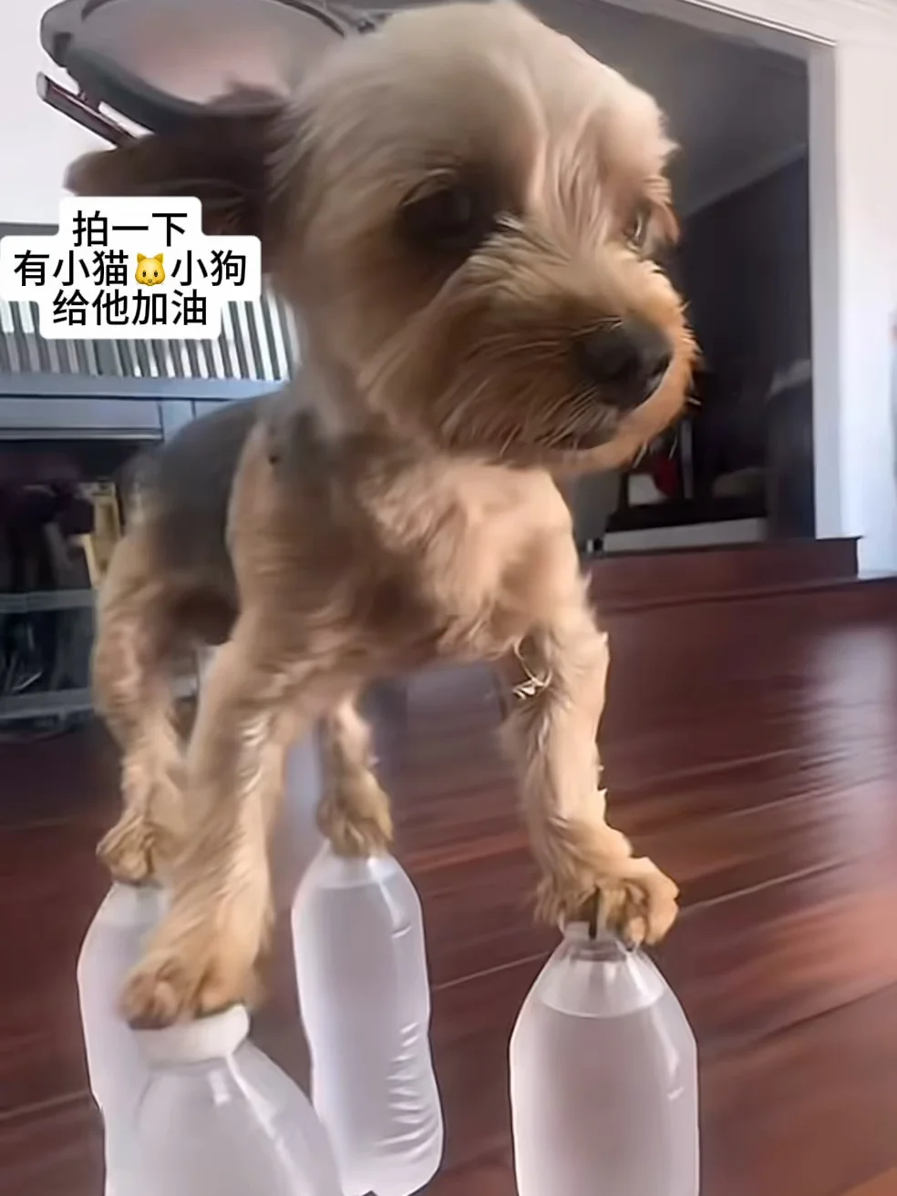 小红书新特效！好有意思哦~